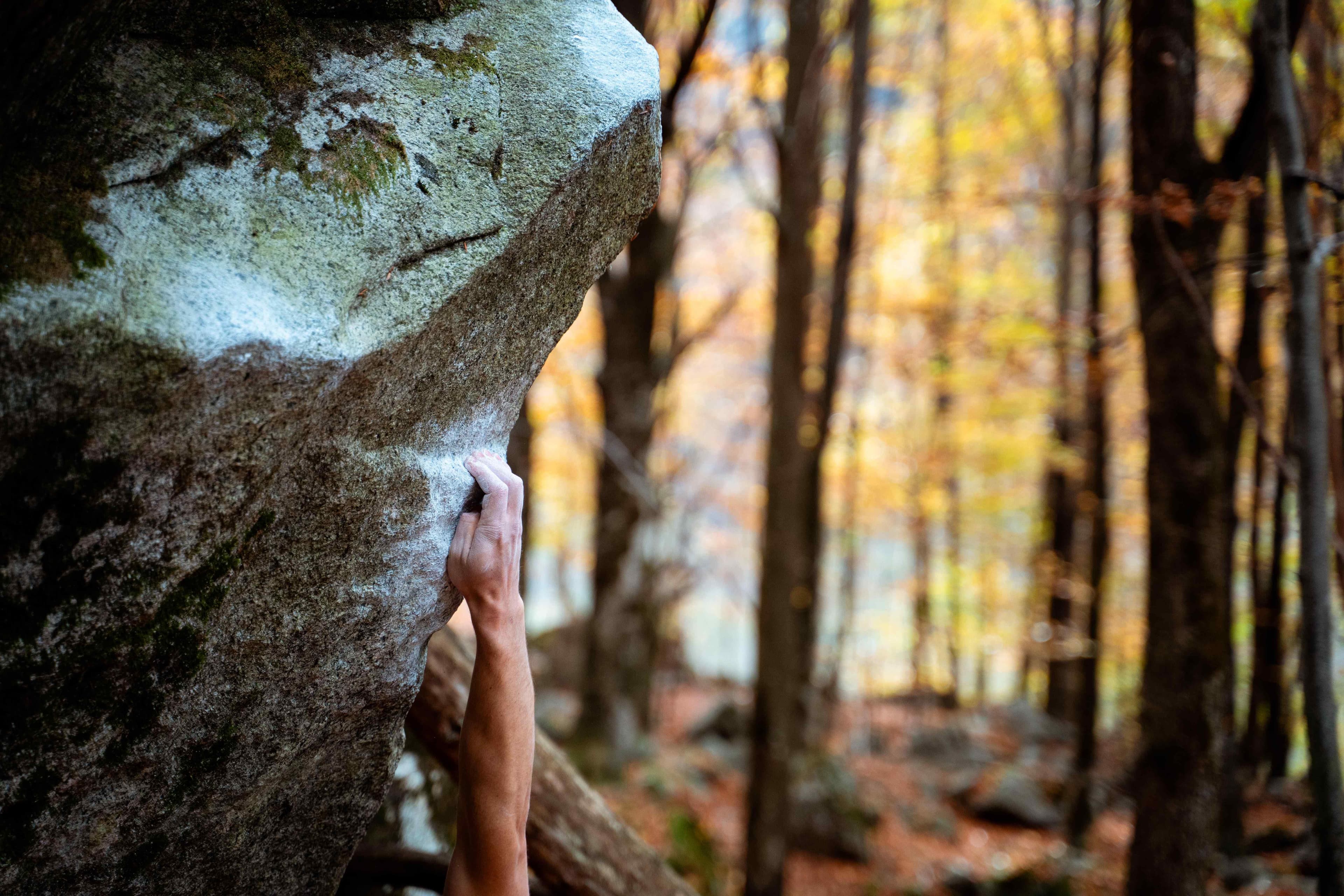 A hand gripping a chalked granite boulder in an autumn forest